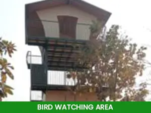 Bird-watching-Area