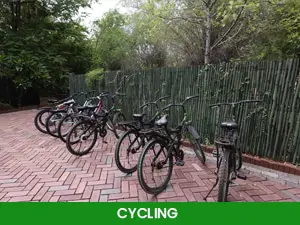 cycling